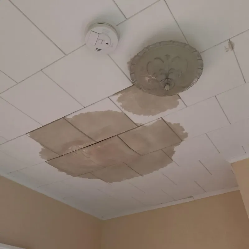 Ceiling Water Damage Repair in Auburn, ME