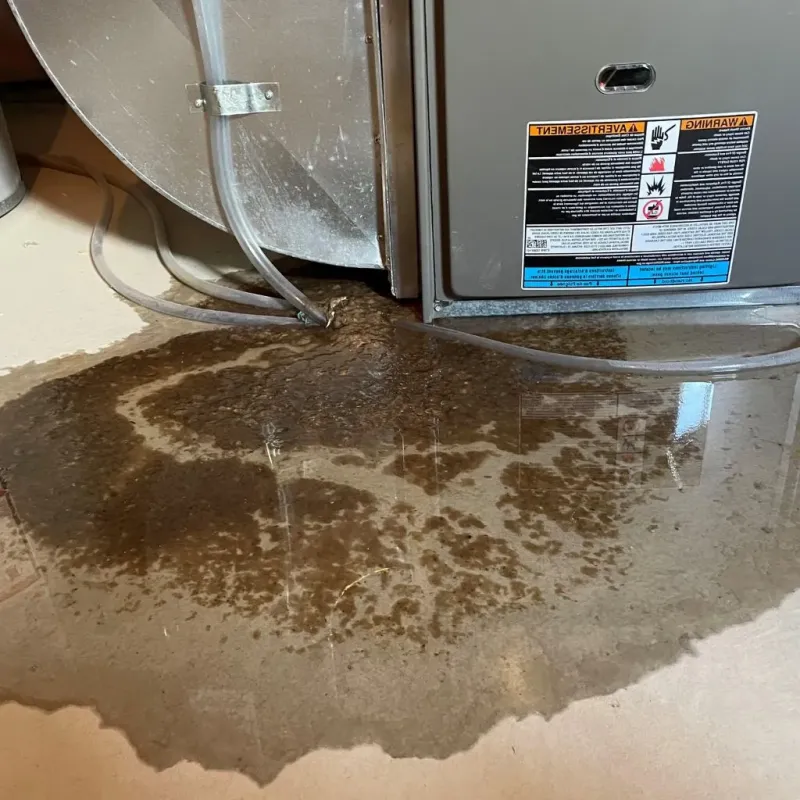 Pipe Burst and Leak Restoration in Auburn, ME