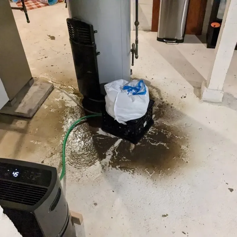 Sewage Backup Cleanup Service in Auburn, ME